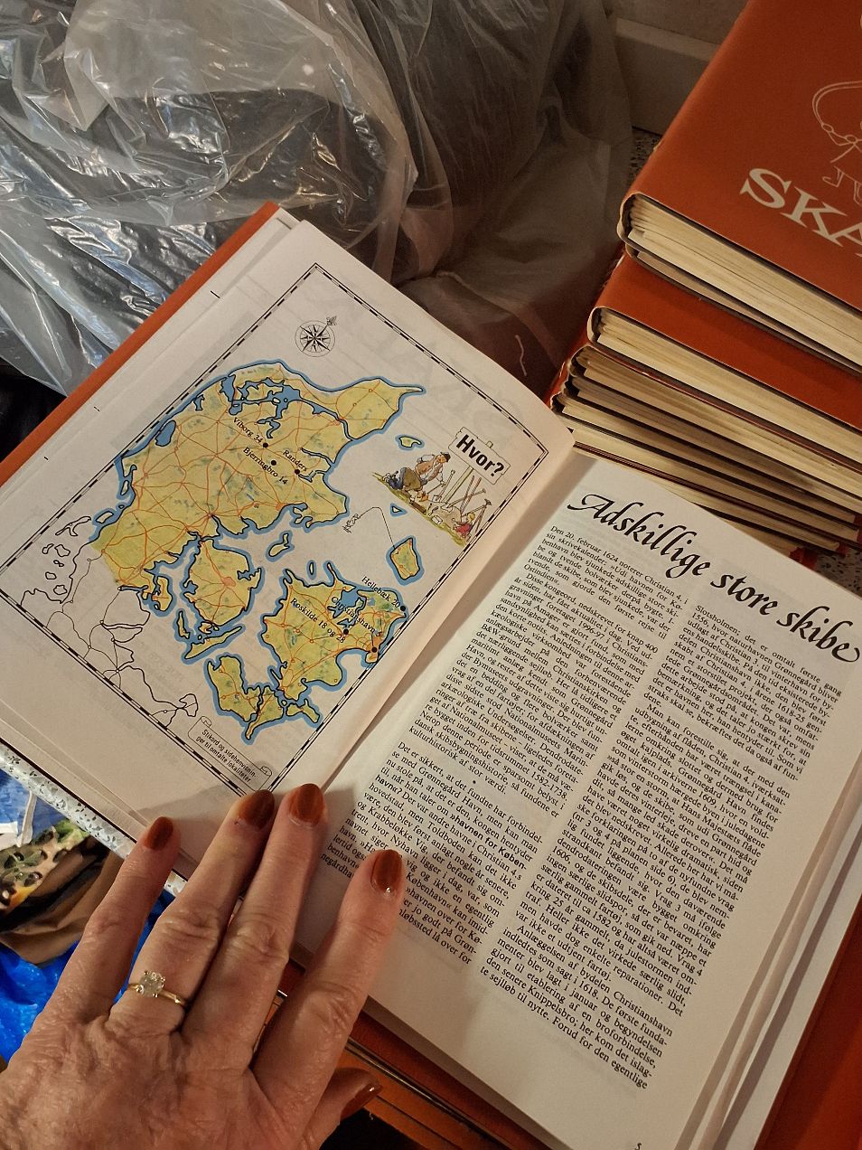 Skalk mapper 25 årgange.